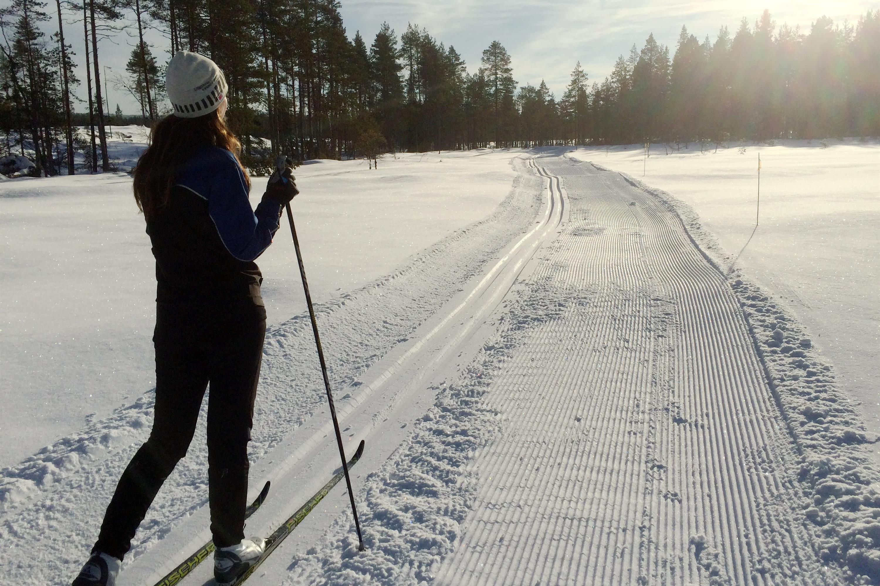 Langrennsløyper i Grue Visit Øst Norge